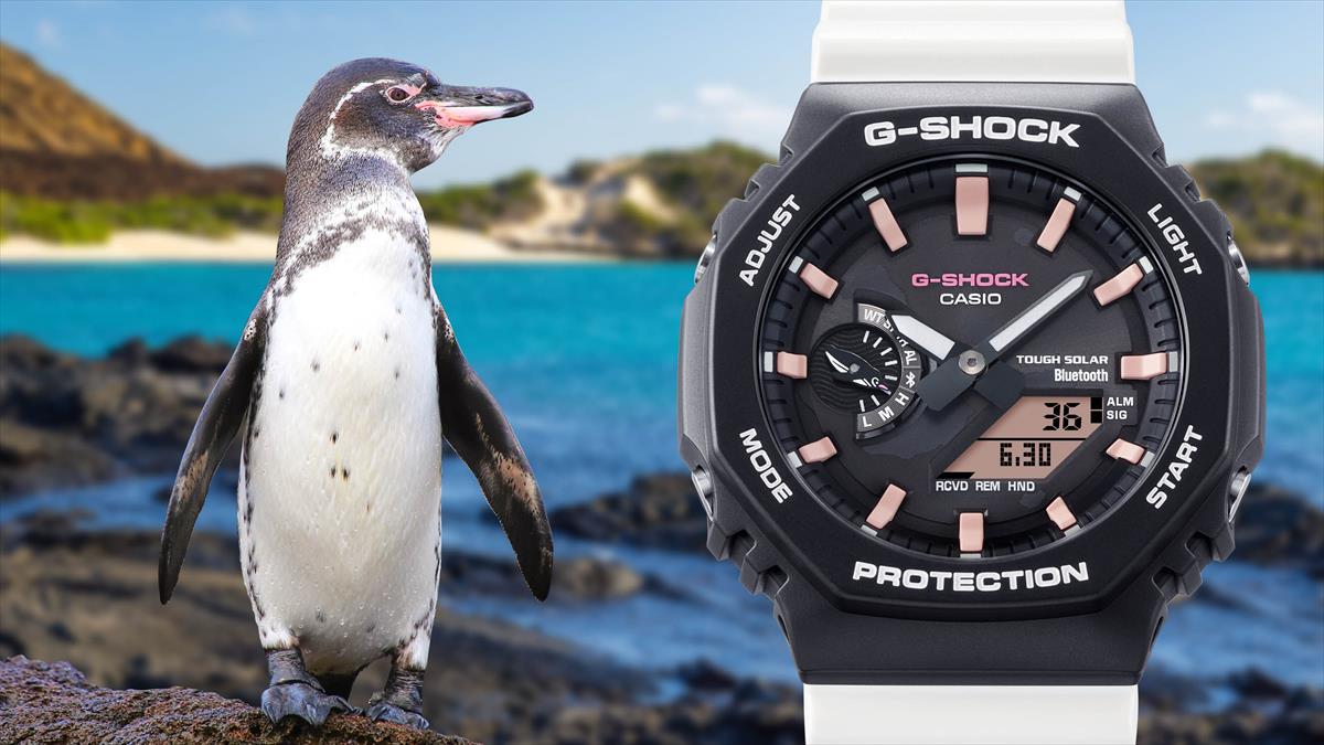 カシオ Gショック GA-B2100CD-1A7JR チャールズ・ダーウィン財団コラボ ガラパゴスペンギン 腕時計 CASIO G-SHOCK GA-100 【1124】_10spl※11月15日発売予定【店頭受取可能商品】