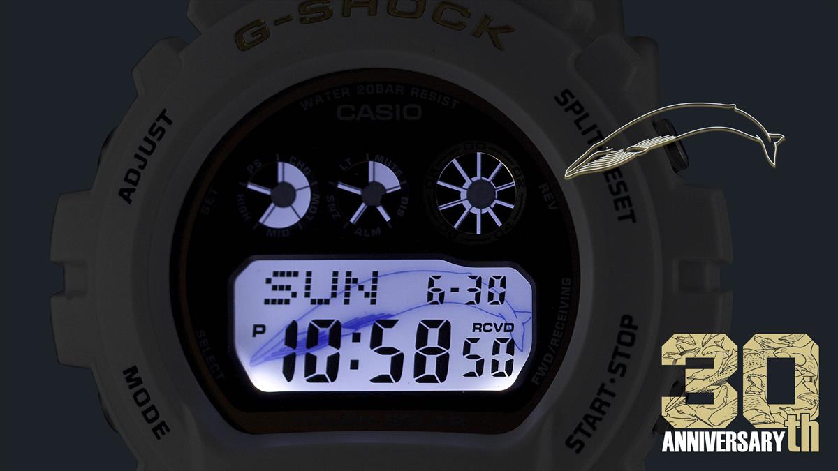 カシオ Gショック GW-6904K-7JR ICERC Japan コラボレーションモデル 2024 CASIO G-SHOCK