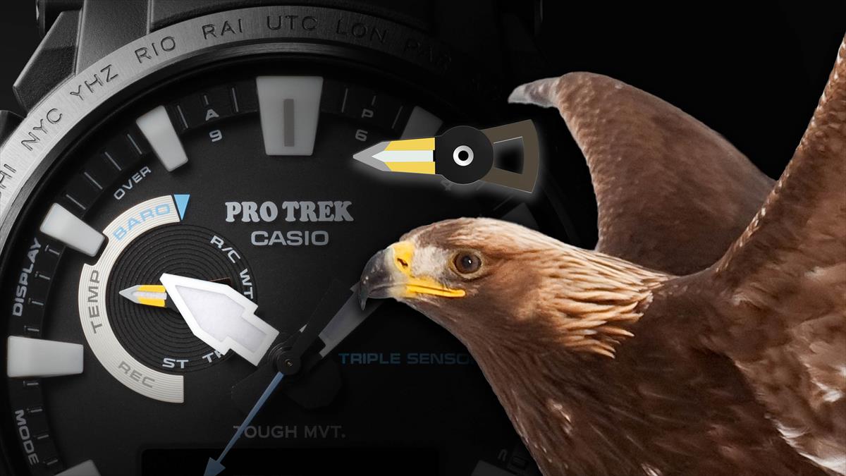 カシオ プロトレック 日本自然保護協会コラボ  PRW-61NJ-1JR イヌワシと大水上山の雪渓 バイオマスプラスチック CASIO PRO TREK 【0324】